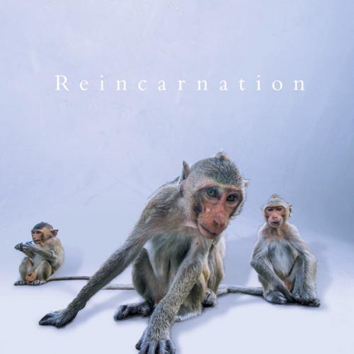Reincarnation【初回盤】