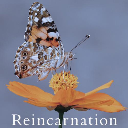 Reincarnation【通常盤A】
