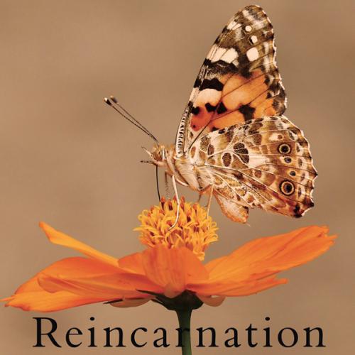 Reincarnation【通常盤B】